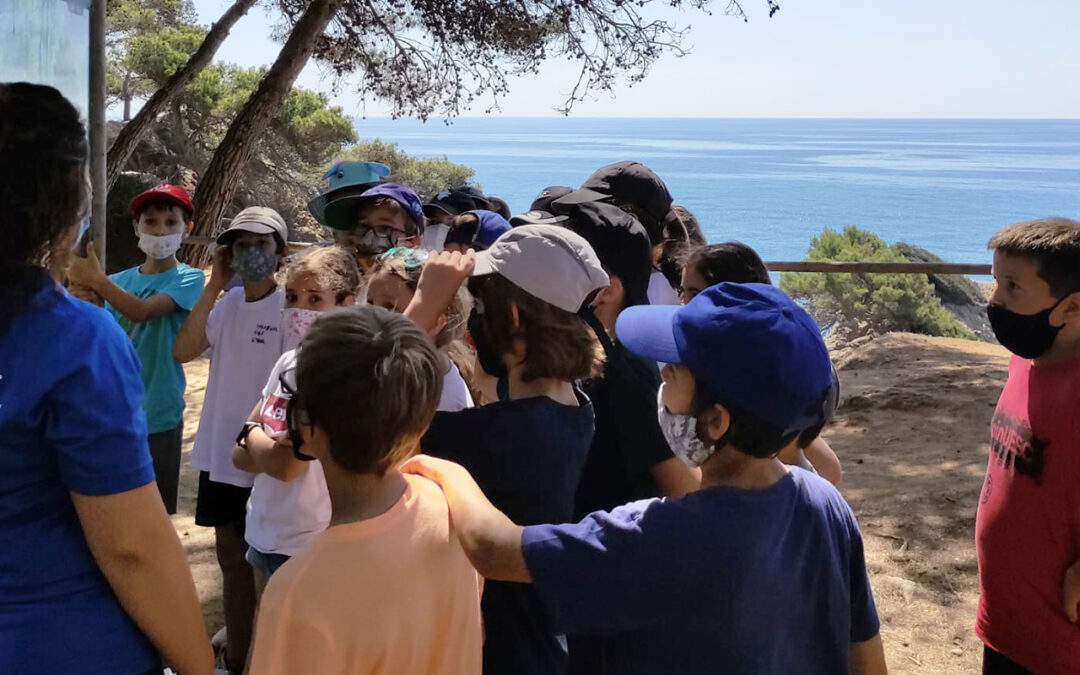 Treballem els ecosistemes a 4t de Primària