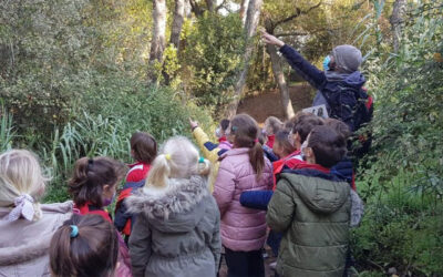 Participem en el Pla de Dinamització Educativa de Sant Cugat