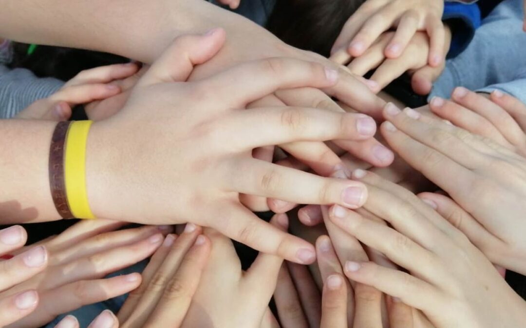 Dia Escolar de la No-violència i la Pau