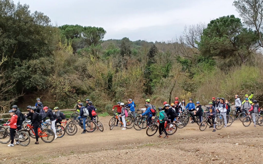 Activitats de final de trimestre a Secundària