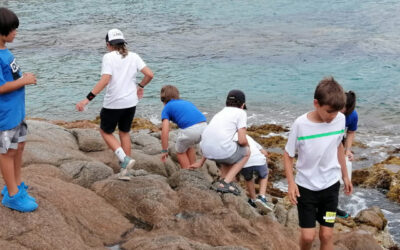 Treballem els ecosistemes a la platja de Fenals