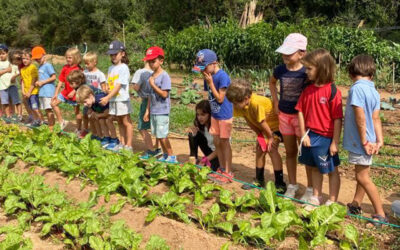 D’excursió a la Masia Can Deu