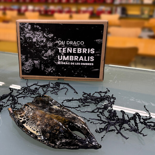 Ous de drac: tresor o guardó?